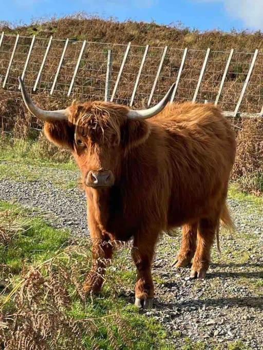 Southend, Mull Of Kintyre, Campbeltown Villa Ngoại thất bức ảnh